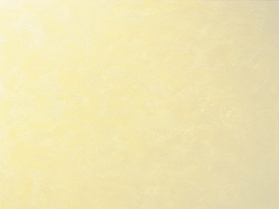 Перламутровая краска с эффектом шёлка Decorazza Seta (Сета) в цвете ST 11-03